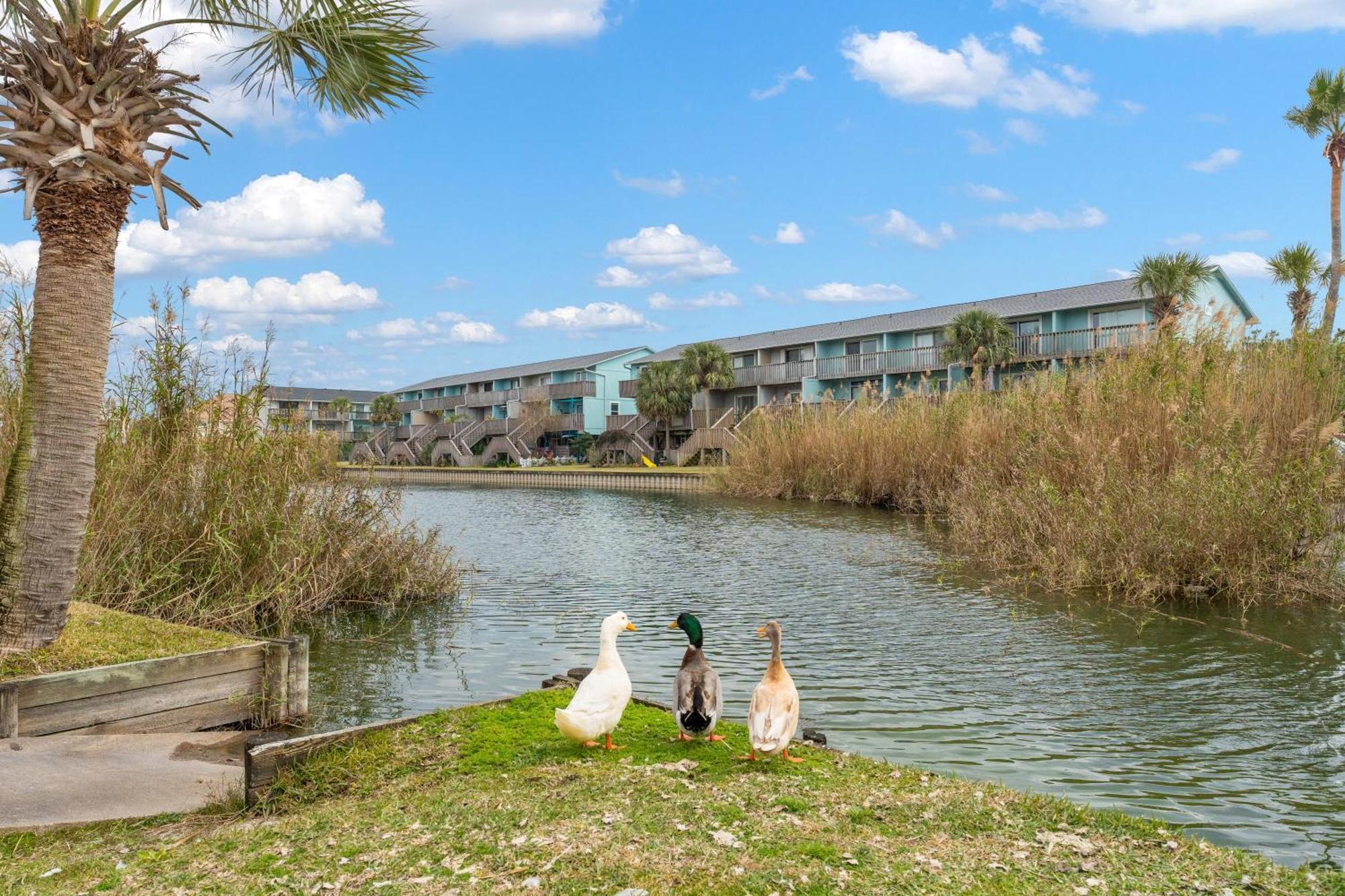 Villas On The Gulf L1- Ocean View Steps To Beach! Pensacola Beach Exterior photo
